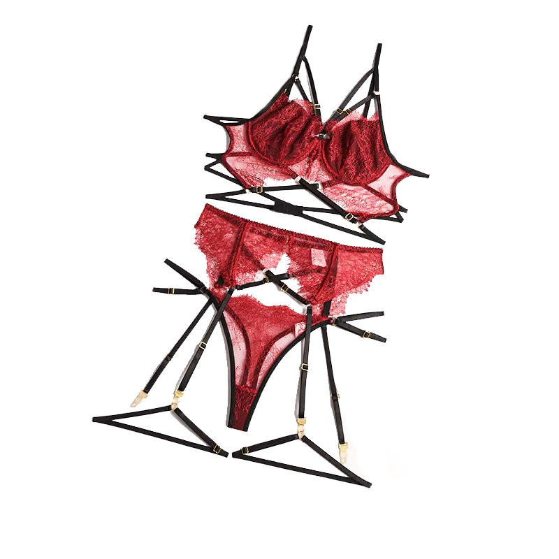 Lace Bralette Set - Ensemble de soutien-gorge et jarretière en